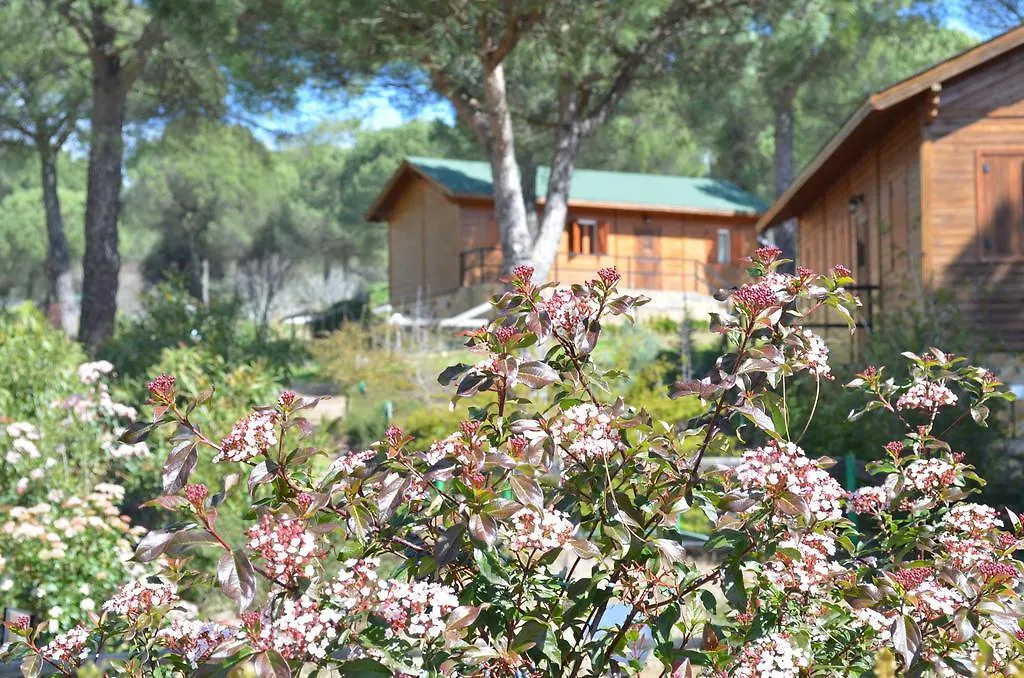 Apartamentos Paraje San Gines Andújar