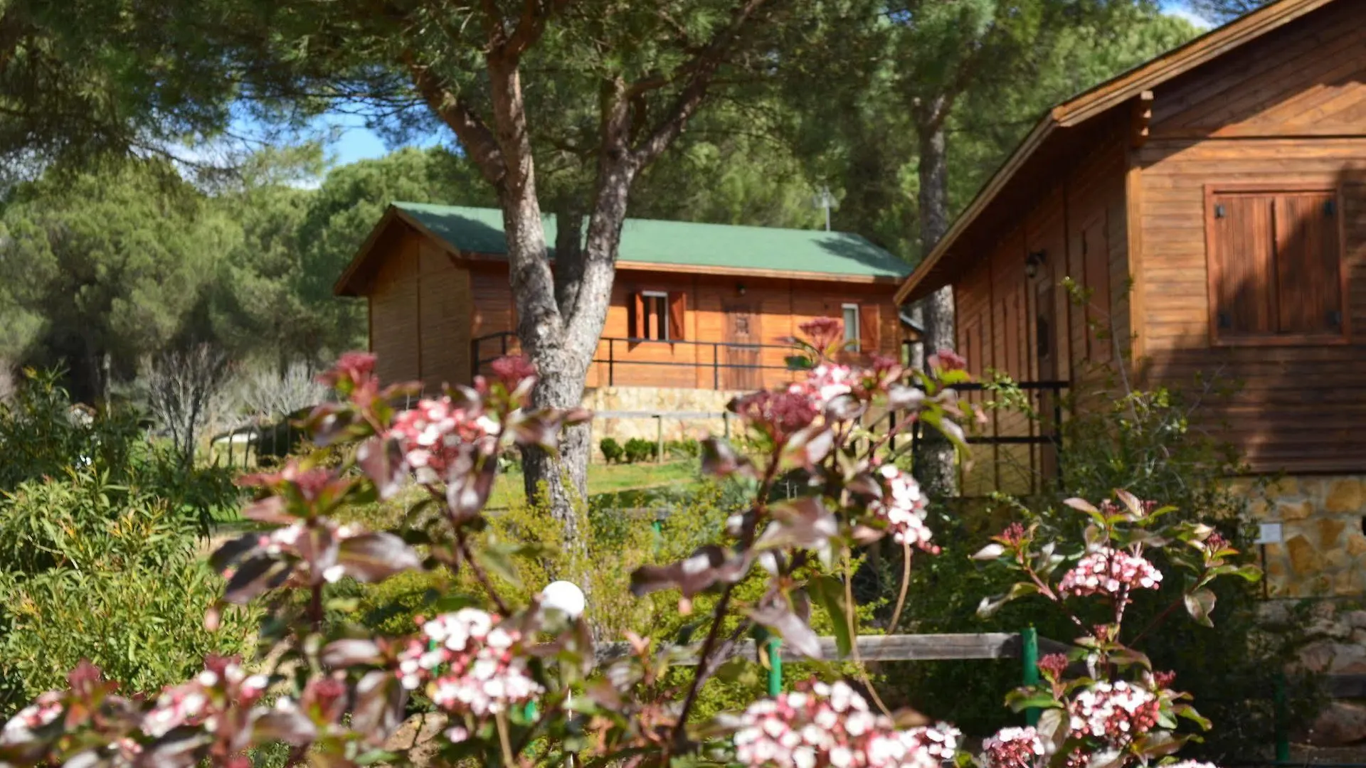 Apartamentos Paraje San Gines Andújar 0*,